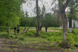 «Сделаем вместе красивое село»